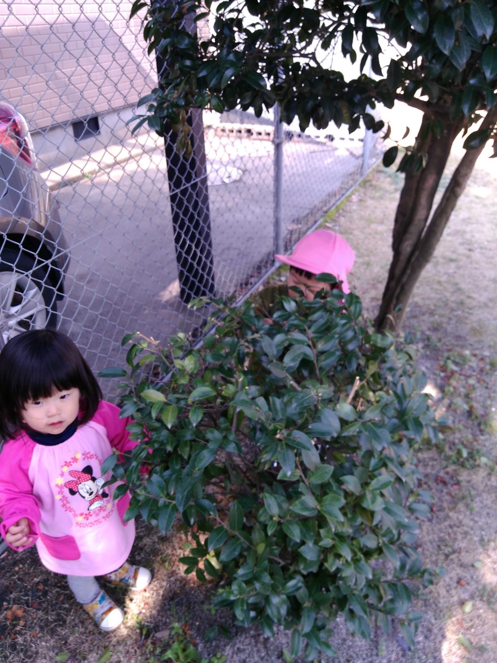 たんぽぽ組　早馬台公園へお散歩