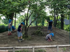 きく組　身近な小さい生き物との関わりを通して