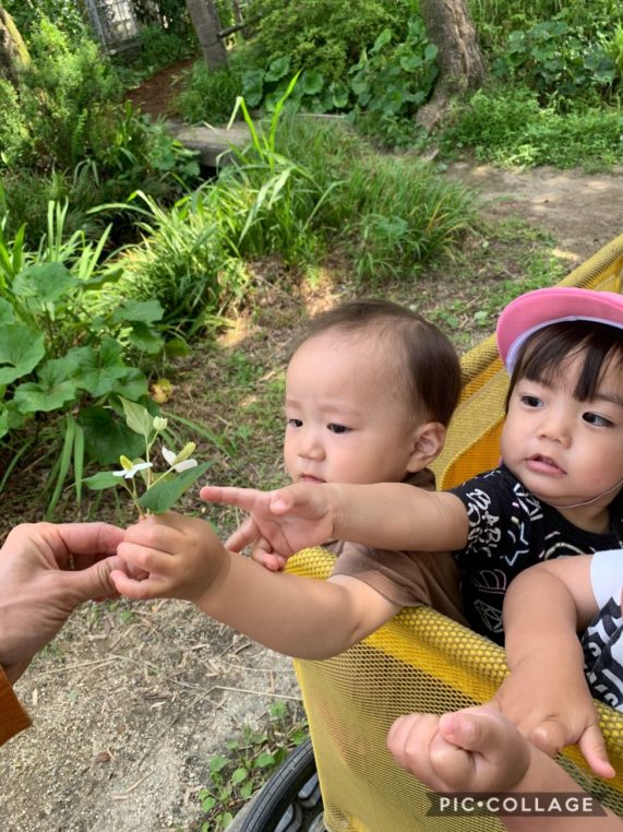 「嗅覚」で感じるのはら園(さくらんぼ組1歳児)